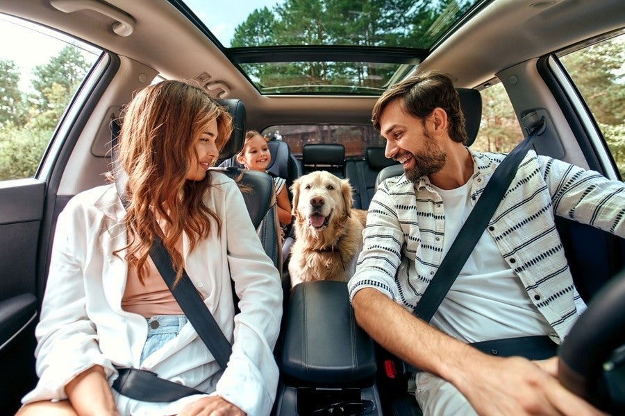 A group of people sit inside a car with seat belts fastened while a dog sits in the back seat